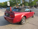 Used 2005 Ford Mustang Convertible image 6