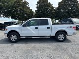 Used 2013 Ford F150 XLT image 4