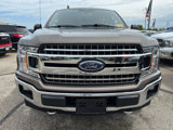 Used 2019 Ford F150 XLT w/ Equipment Group 302A Luxury image 2