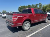 Used 2013 Ford F150 Platinum image 4