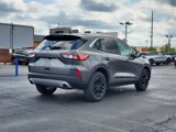 Used 2022 Ford Escape SE w/ Convenience Package image 4