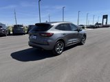 Used 2023 Ford Escape ST-Line Select image 3