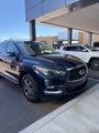 Used 2019 INFINITI QX60 Luxe image 3