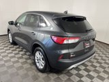 Used 2020 Ford Escape SE image 5