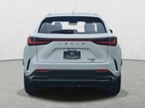 New 2025 Lexus NX 350 AWD w/ Accessory Package (2T) image 6