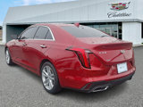 Used 2020 Cadillac CT4 Luxury w/ Sun And Sound Package image 2