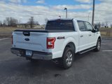 Used 2018 Ford F150 XLT w/ Equipment Group 302A Luxury image 3