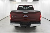 Used 2016 Ford F150 XLT w/ Equipment Group 302A Luxury image 6