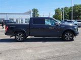 Used 2015 Ford F150 XLT w/ Equipment Group 302A Luxury image 4