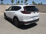 Certified 2022 Honda CR-V EX image 6