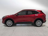 Used 2022 Ford Escape Titanium w/ Titanium Elite Package image 6