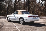 Used 1991 Alfa Romeo Spider Veloce image 4