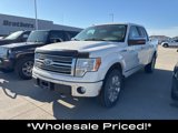 Used 2009 Ford F150 Platinum image 3