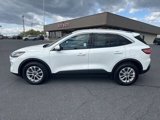 Used 2021 Ford Escape SE w/ Cold Weather Package image 2