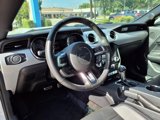 Used 2016 Ford Mustang Premium w/ Equipment Group 201A image 3
