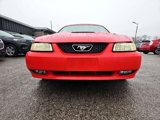 Used 2000 Ford Mustang GT image 3
