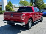 Used 2013 Ford F150 XLT w/ Luxury Equipment Group image 3