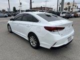 Used 2019 Hyundai Sonata SE image 4