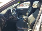 Used 2024 Ford Escape ST-Line image 5
