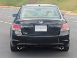 Used 2010 Honda Accord EX-L image 5