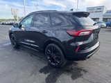 Used 2023 Ford Escape ST-Line Elite w/ Premium Technology Package image 3