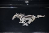 Used 2016 Ford Mustang Premium w/ Wheel & Stripe Package image 5