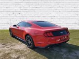 Used 2018 Ford Mustang Coupe w/ Wheel & Stripe Package image 3