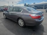 Used 2014 Honda Accord EX-L image 4