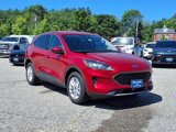 Used 2020 Ford Escape SE image 3