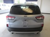 Used 2022 Ford Escape SE w/ Convenience Package image 6