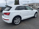 Used 2019 Audi Q5 2.0T Premium Plus image 6