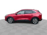 Used 2020 Ford Escape SEL image 5