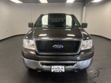 Used 2007 Ford F150 XLT image 3