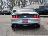 Used 2020 Ford Mustang Premium image 6
