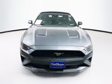 Certified 2022 Ford Mustang Premium image 2