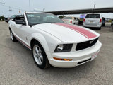 Used 2009 Ford Mustang Premium image 4