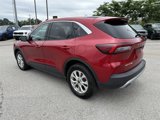 Used 2023 Ford Escape Active w/ Tech Pack #1 image 3