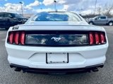 Used 2022 Ford Mustang Premium w/ Equipment Group 201A image 5