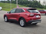 Used 2022 Ford Escape SE w/ Convenience Package image 3
