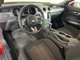Used 2019 Ford Mustang Coupe w/ Equipment Group 101A image 2