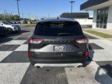 Used 2020 Ford Escape SEL image 4