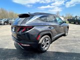 Used 2022 Hyundai Tucson Limited image 5
