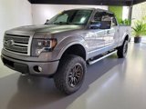 Used 2010 Ford F150 Platinum image 2