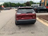 Used 2019 Jeep Cherokee Latitude w/ Cold Weather Group image 4