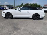 Used 2020 Ford Mustang Premium image 4