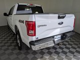Used 2016 Ford F150 XLT w/ Equipment Group 302A Luxury image 5