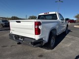 New 2025 Chevrolet Silverado 1500 W/T w/ WT Safety Package image 5