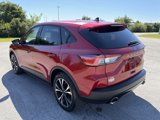 Certified 2022 Ford Escape SE w/ SE Sport Appearance Package image 4