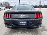 Used 2019 Ford Mustang Coupe image 4