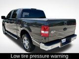 Used 2007 Ford F150 FX2 image 4